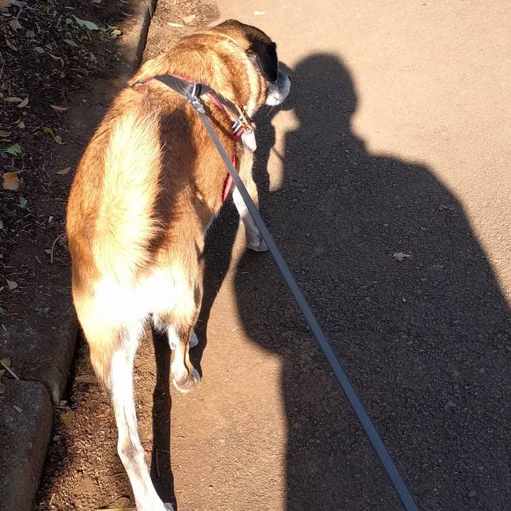 D1b3cea0 2a77 4fe5 9553 1275c81e8b6b 1512436244370