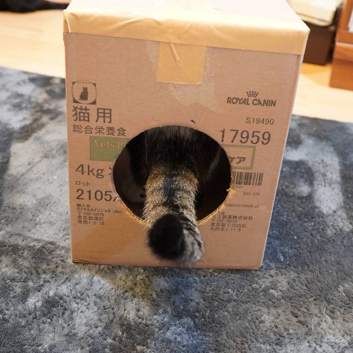 D1b3f613 e29d 4ad9 8c12 9f5bd6896d17 1585698955429