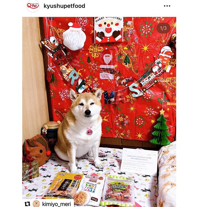 D1b406c4 a1f1 46c3 8a11 376c3a24c2e9 1669798888709