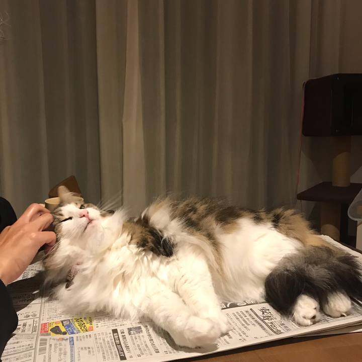 D1b44509 e263 4614 845c b8d8798e4545 1555935216734