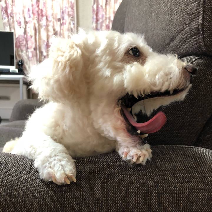 D1b46c83 a972 44bc ab86 b0ee43afe5c5 1533596162909