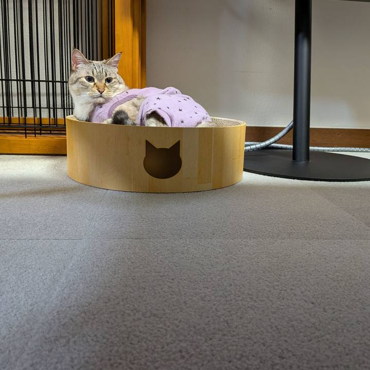 D1b46dce 1c7b 4dac 935d 2bee23900212 1750330607858