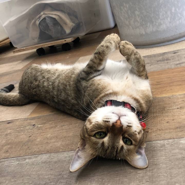 D1b481dd 771f 4882 8064 2dd6f08c8057 1628331706535