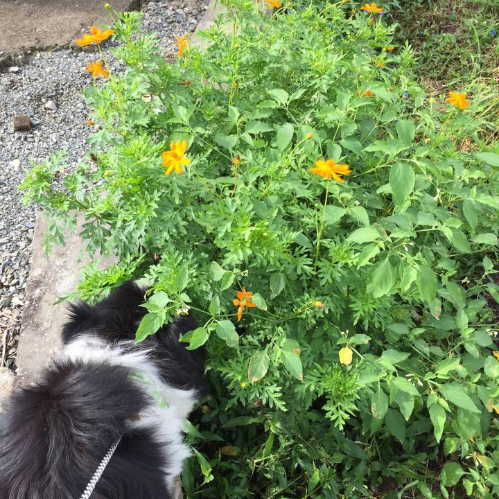 D1b4e0e2 7c48 4875 a190 a782bc3ec2ba 1567729146670