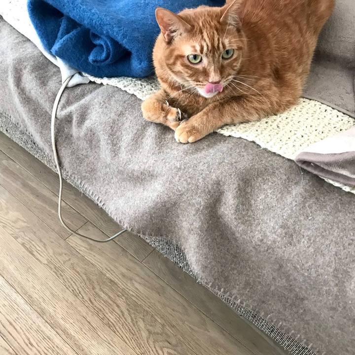 D1b4f042 d61a 4a63 aa38 5aa2a4fa70b9 1581385941340