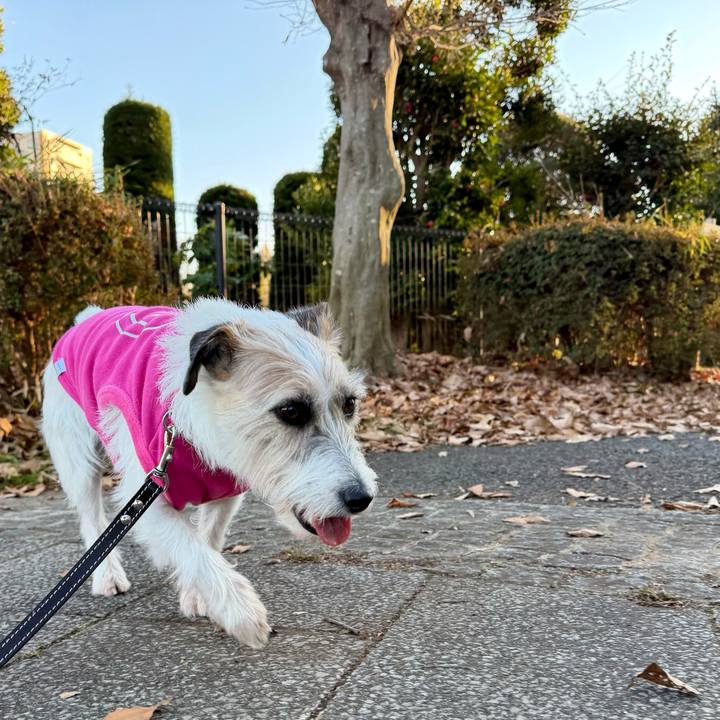 D1b51877 eab8 49d9 b3cc 14b5bd7602bf 1767619757353