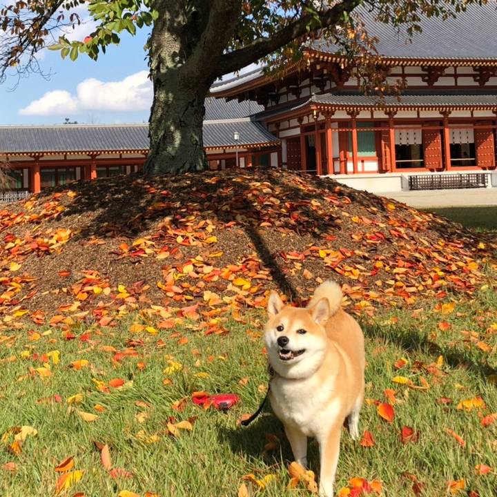 D1b57b29 e102 43bd 98f7 3b4b39b5e9cd 1541938066903