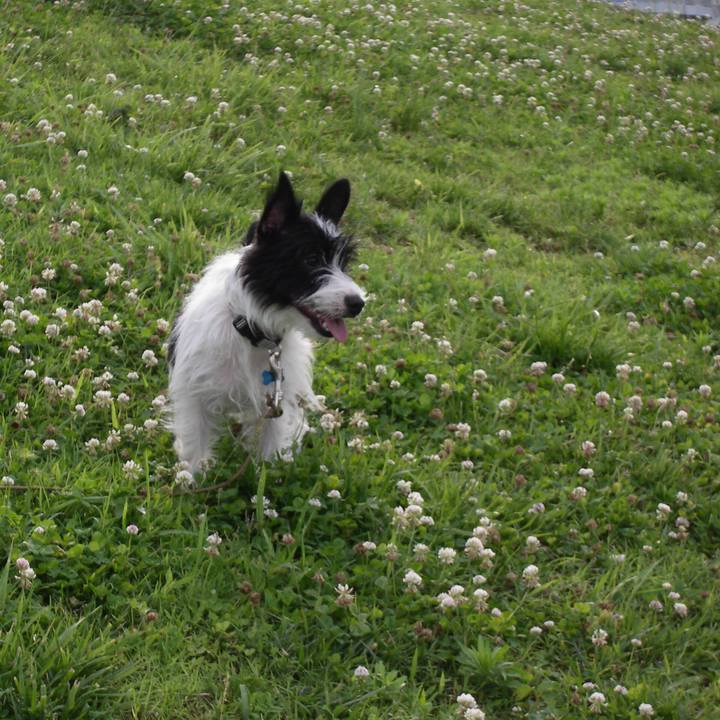 D1b5b80a 2d13 4d88 ac96 f44c1a5f2f3d 1591015708361