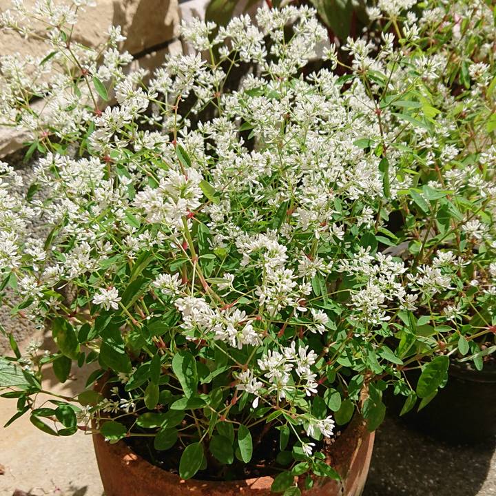 D1b5d057 6c28 4a0c 8c3f 27bf9a6a4ec6 1601174135020