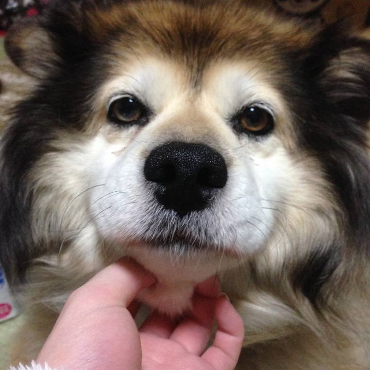 D1b5f2e0 fa15 4a2b 9b3a 59a81365072d 1601787289774