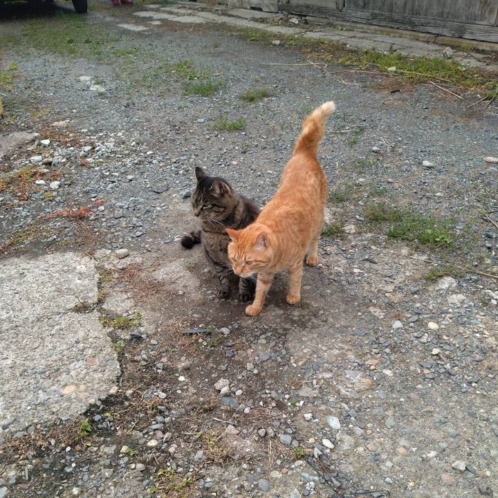 D1b607bc 58f5 4369 9311 6a89d13ed6ea 1688893602352