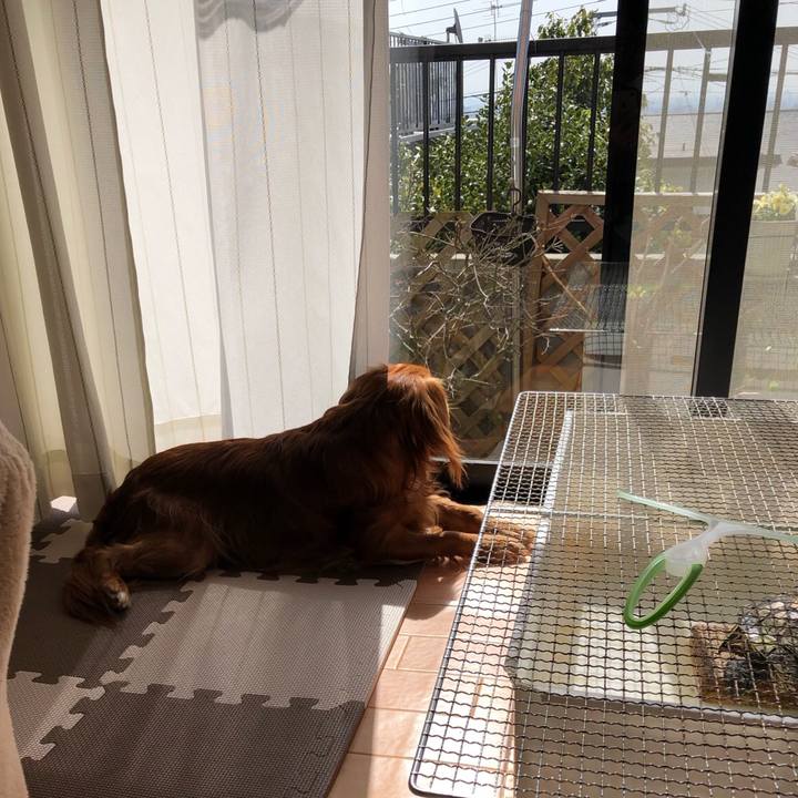 D1b61331 81b9 456f ba92 cc71553d3af3 1584788563758