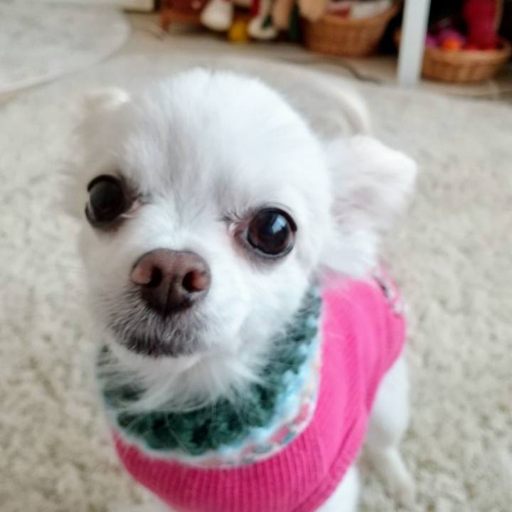 D1b61e26 effc 4ad7 ab08 55d80ced9924 1577884101835