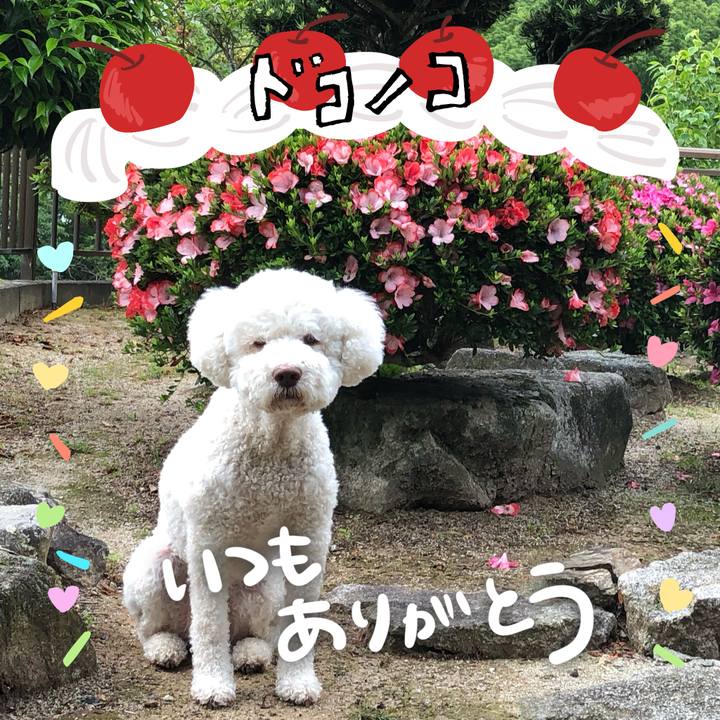 D1b62251 c403 4c1e 876c b5a38f3d00e1 1686003069497