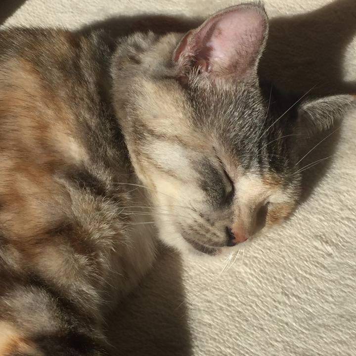 D1b6252f ee51 4fda 8fc4 58dac1ef9e8a 1573957407111