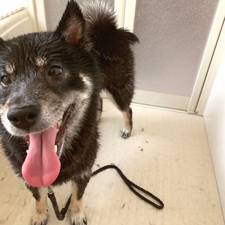 D1b6392c 41ef 4e3b 9ed7 4e31b30ea88e 1588222937363