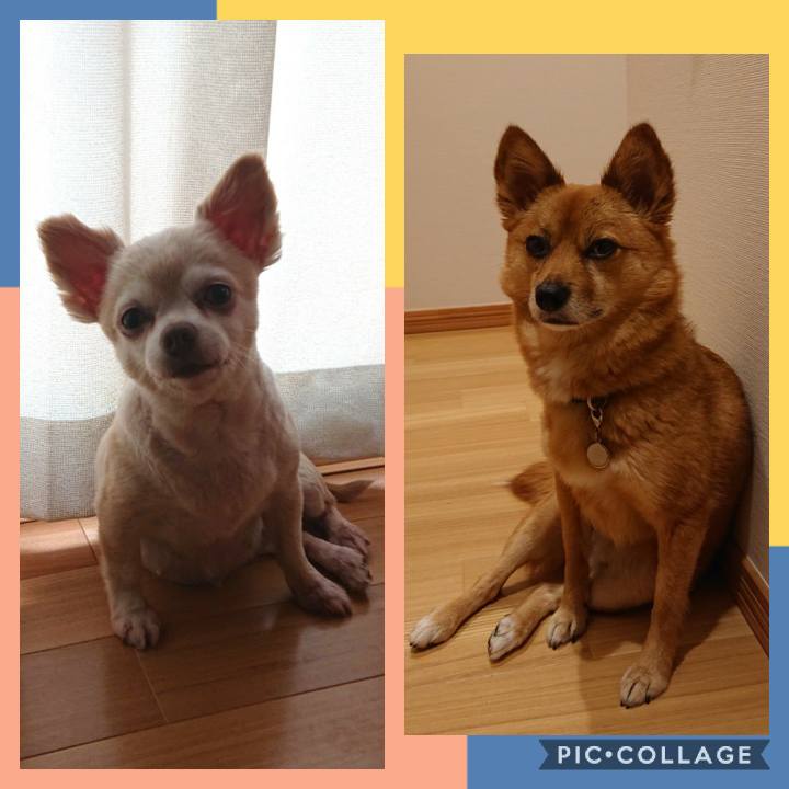 D1b63caa cc48 4429 9a0b 6237f9d073ff 1564316682631