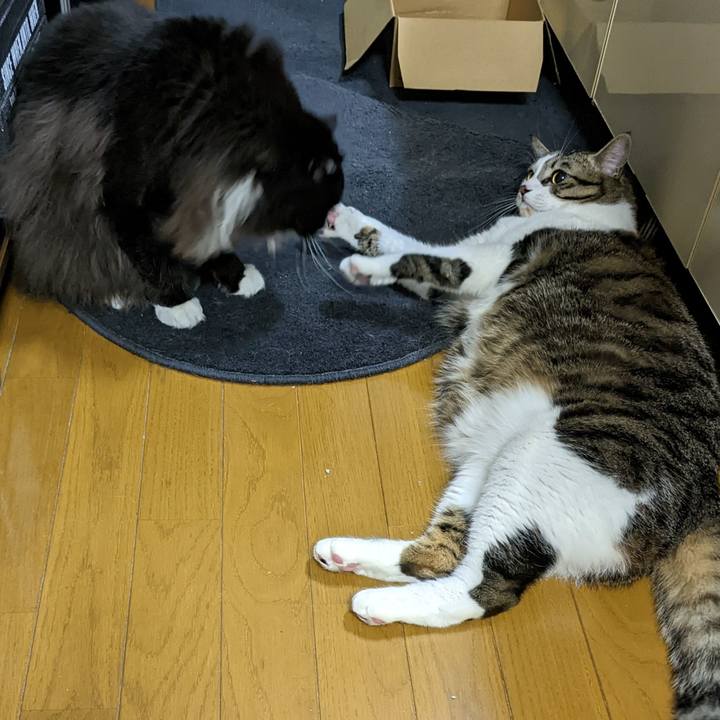 D1b64245 198f 4295 9ab2 70300a34f8fc 1670420647401