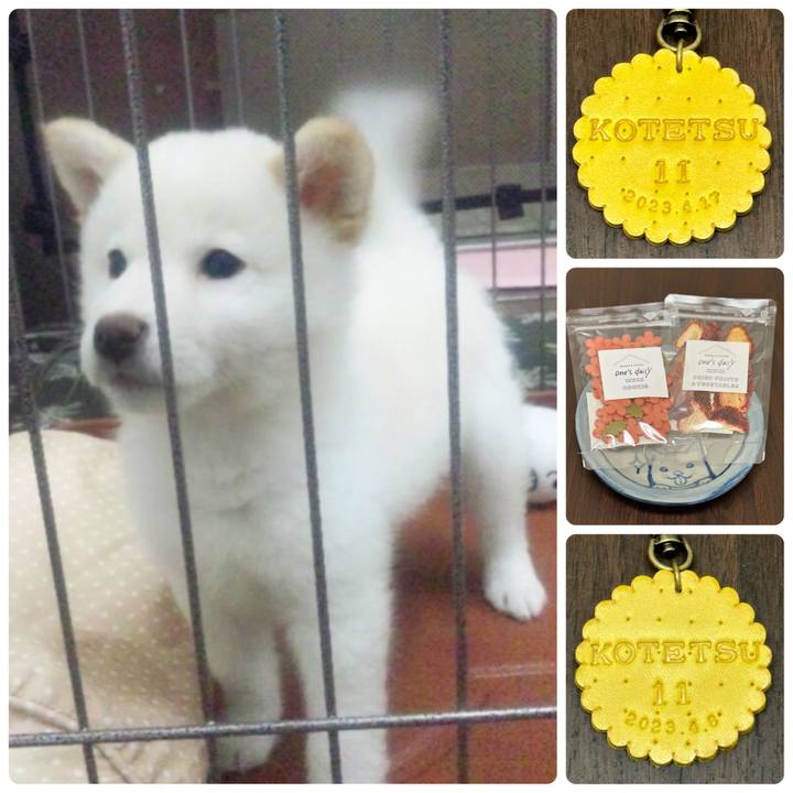 D1b653d3 4df6 4890 907e 8a56c7434c1a 1681713869380