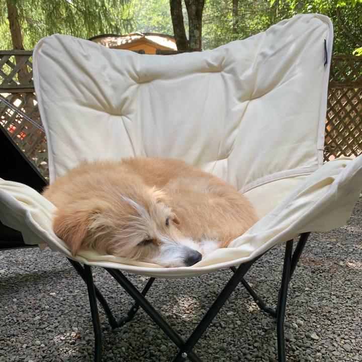 D1b67194 0eb6 403f 8df8 3a26ce936d0f 1658817521909