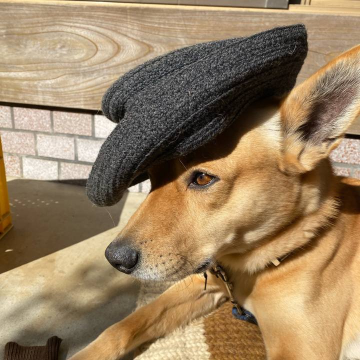 D1b6d07f b113 408b b1b0 b9569bc1a1d5 1643336838590