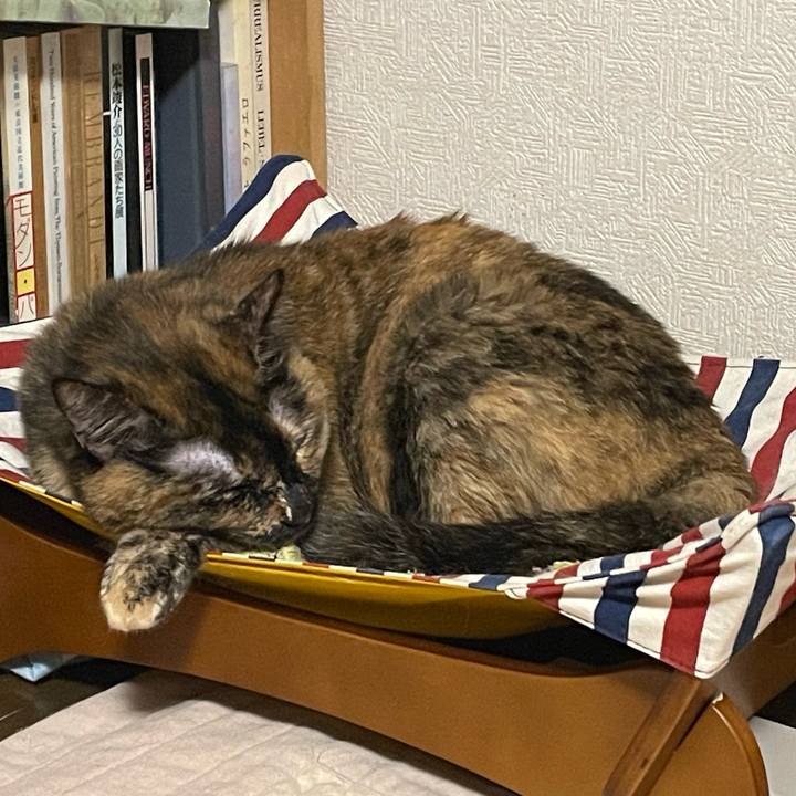 D1b71d1a d5e8 45b6 8cc3 7d3e713787cd 1717244421367