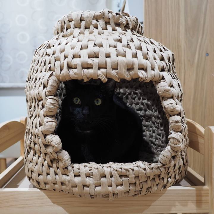 D1b7559e 27e7 4ed6 bd33 7032409b6310 1549639069301