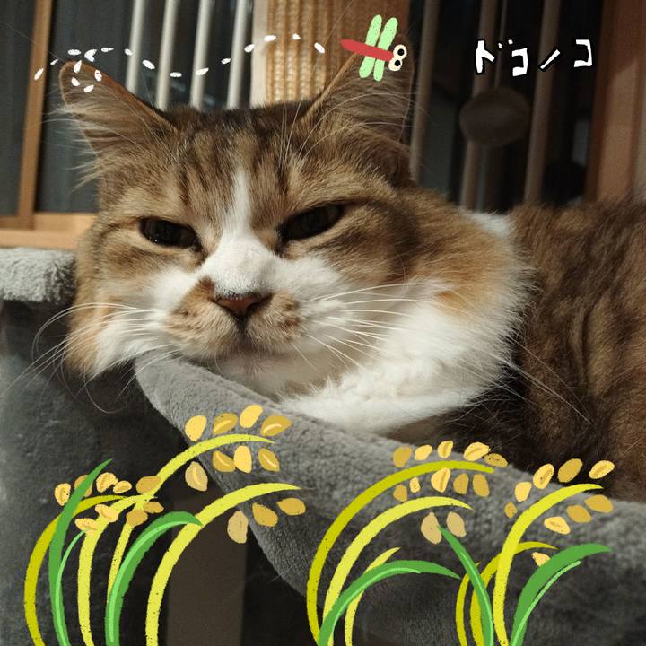 D1b7d92e e693 4bc2 9066 bd210b33383d 1761225869774