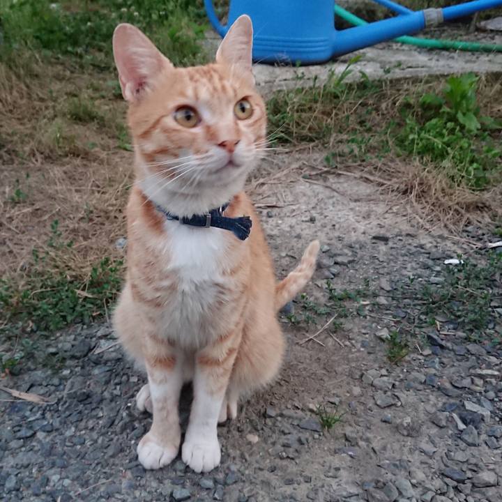 D1b7dd0c fb17 4f39 bd5c b76713c70e0b 1561466181123