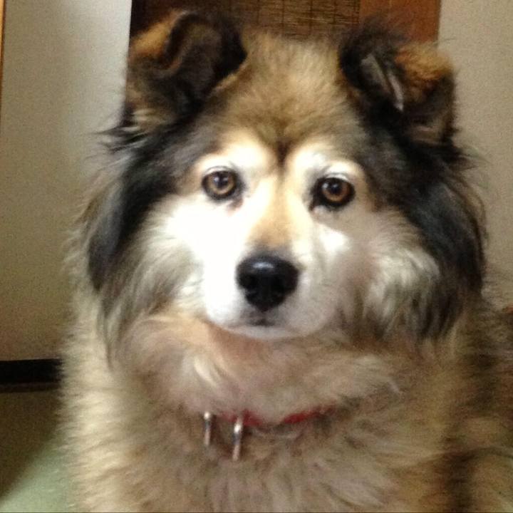 D1b7f19c d6d6 4c59 96b8 ebf75fb51c3d 1570235146542