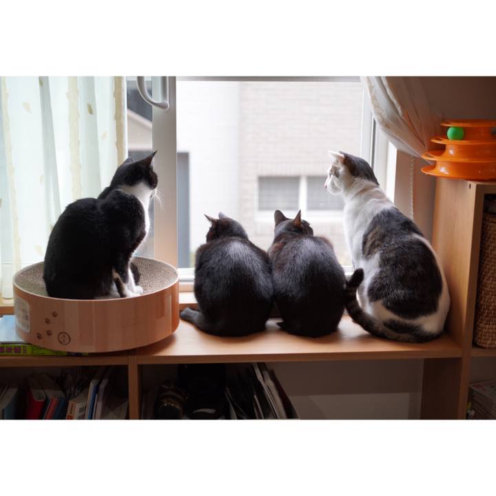 D1b864fd d5b5 4a79 97ae 0f54e18daa6d 1650259672802