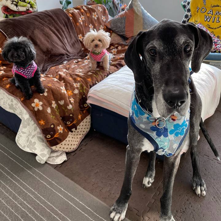 D1b86c57 c143 4db2 b676 624f06f7d728 1615243042879