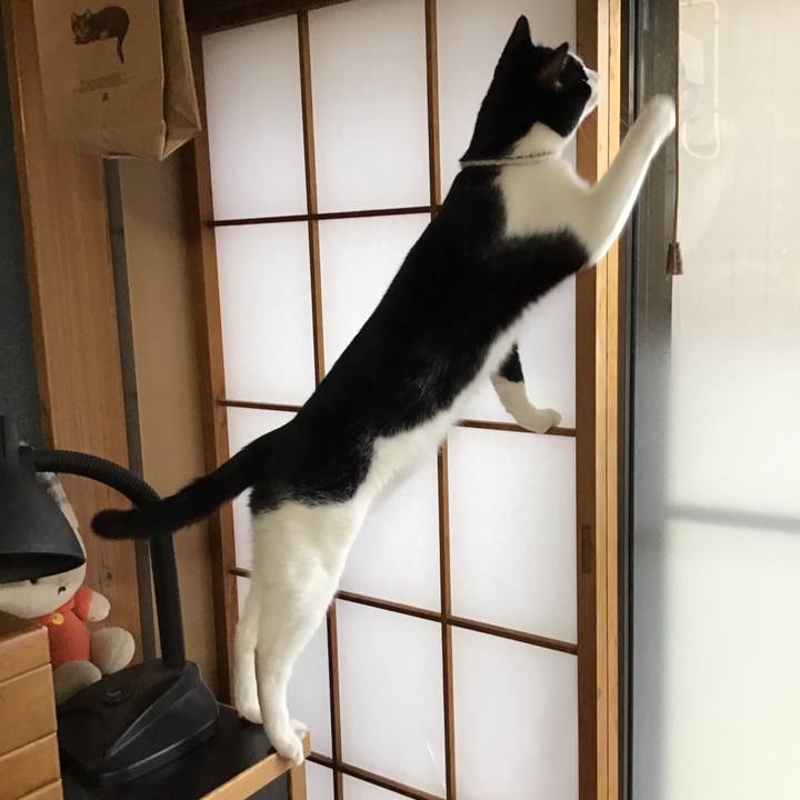 D1b86f86 af6a 43ac 804c 2a734528e2ea 1655968428694