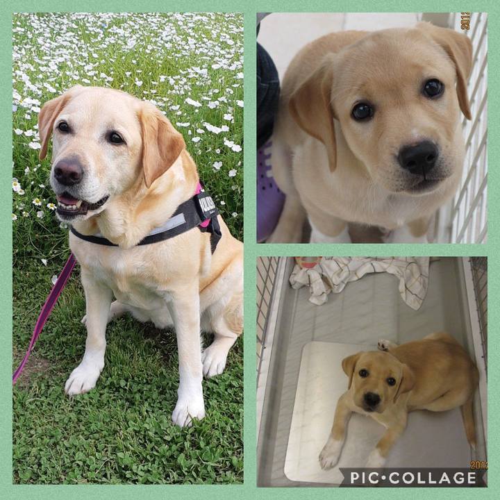 D1b89f54 8239 4a15 85bc 7db4f536ad80 1623206595957