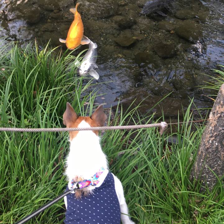 D1b8b23d f717 4b09 ab1c 87e057c0bd51 1572664020536