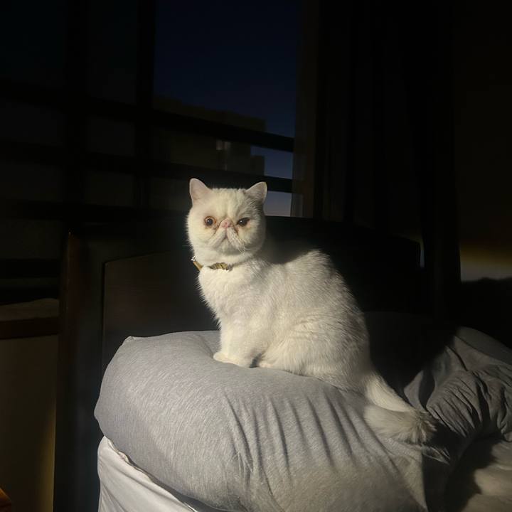 D1b8e80c 62f4 4d41 bd22 fcdfb0dbb57c 1736461216722