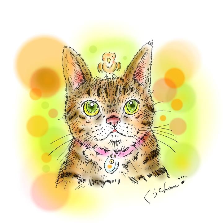 D1b8ed26 dd55 449c b0f9 f52241cc358e 1584196104104