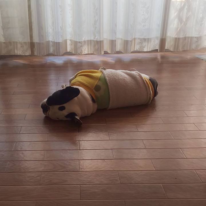 D1b8f14a a7b8 458e 9f0a a708d72a0797 1668212551059