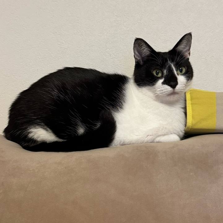 D1b8f860 8a4c 4f15 979e abfd42727e31 1768879743295