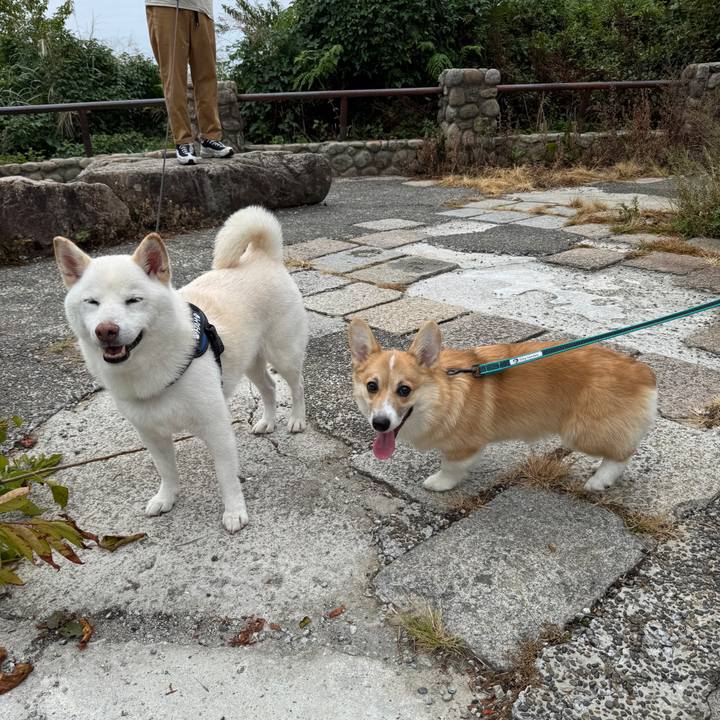 D1b92e48 8cde 41e0 89ce 18d27a03c6e5 1758784504402