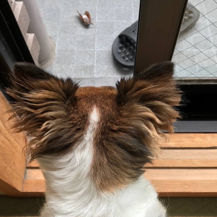 D1b93934 0f14 4492 bf5a ded73b22da40 1533788654207