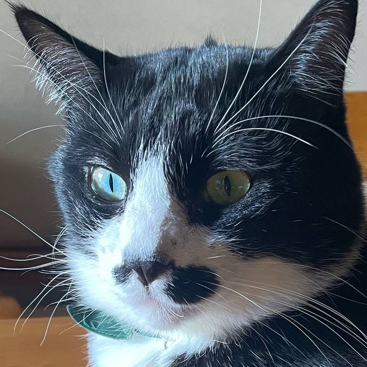 D1b95a36 4aab 4be0 be65 df1bad8bbc04 1736991545304