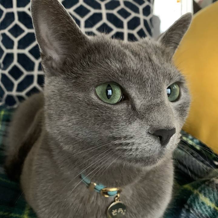 D1b9c440 ccf5 435f a5f1 3517a3c626a6 1612136725208