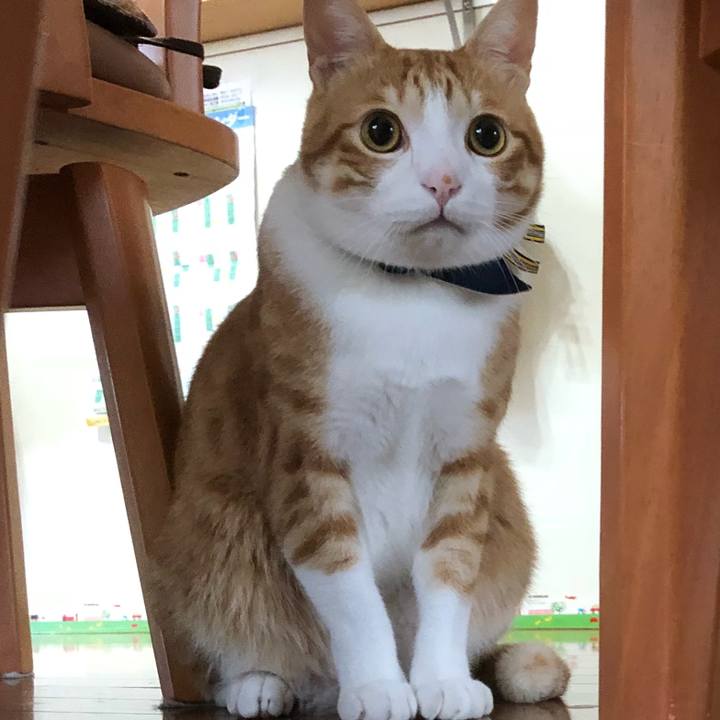 D1b9d4ef 5a9d 4b21 9498 390141c1d26d 1540611276000