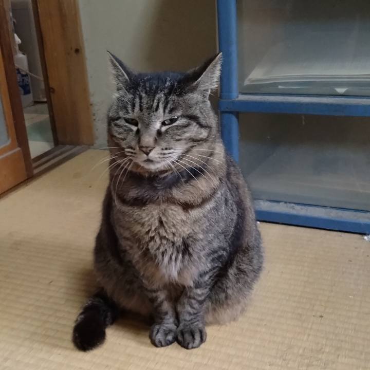 D1b9e012 9d34 4cae b460 6f77682242a0 1744781574998