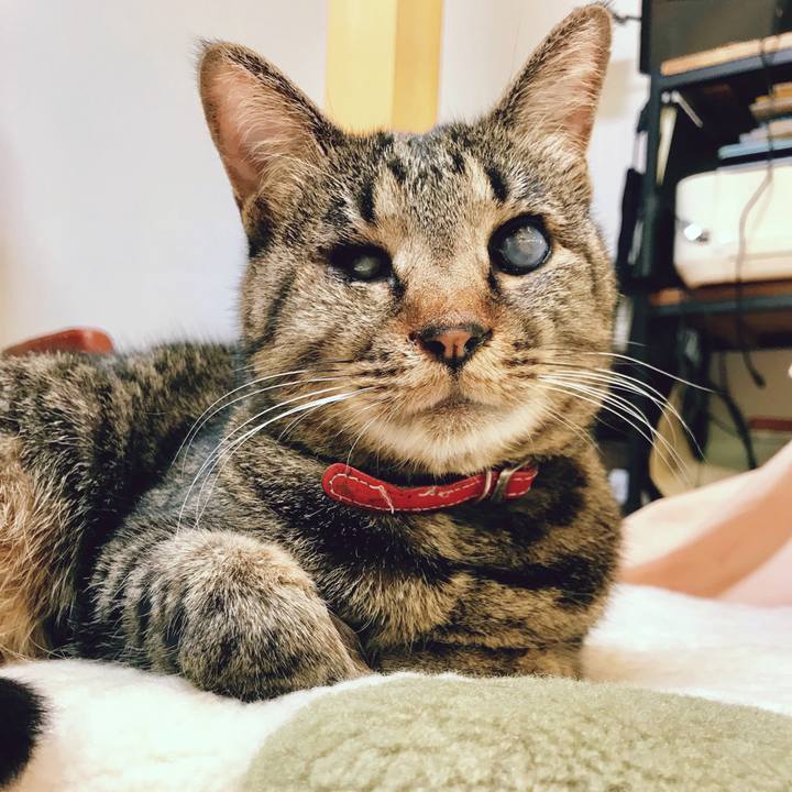 D1b9e576 3c09 4a47 8ba3 cec9e9ee81e8 1524227756260