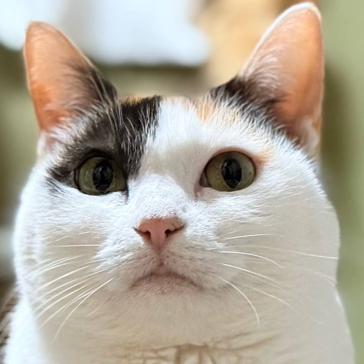 D1b9fc4b a3b6 4413 b312 f2a8c3c76b84 1770692128491