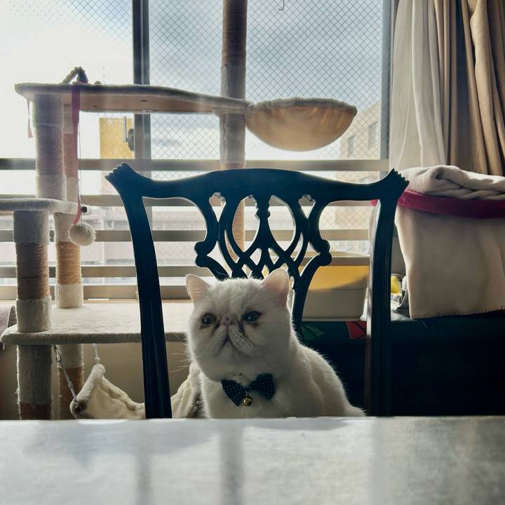 D1ba06ae a283 4aac b054 a86fd7b5e4a3 1711193203689