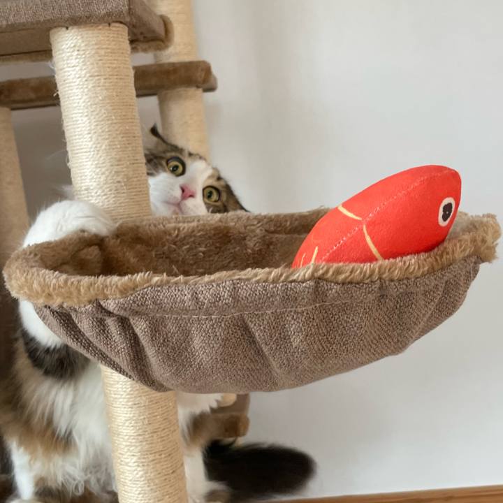 D1ba0ead b06f 4c2d a4b0 59ba5c6d650e 1652911375234