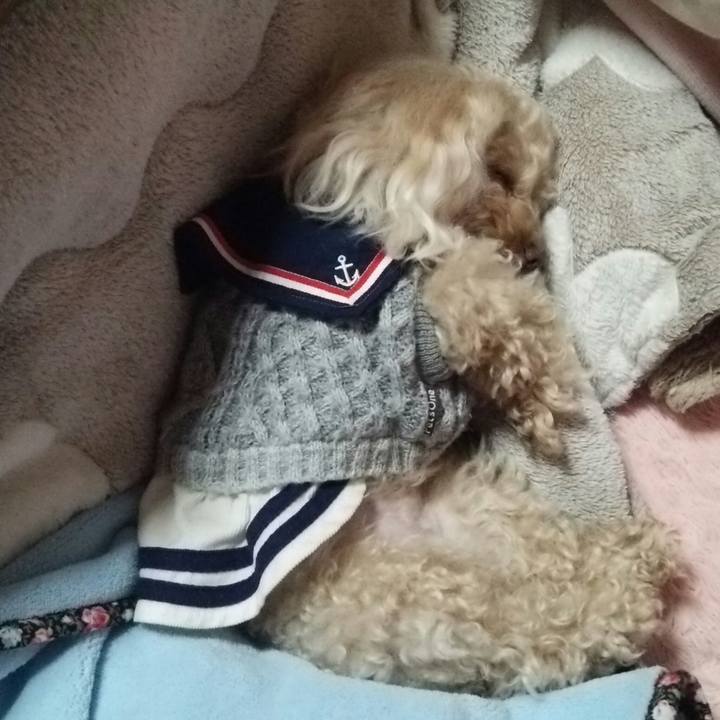 D1ba118a bfe3 4064 a200 7c346ac84535 1521464879663